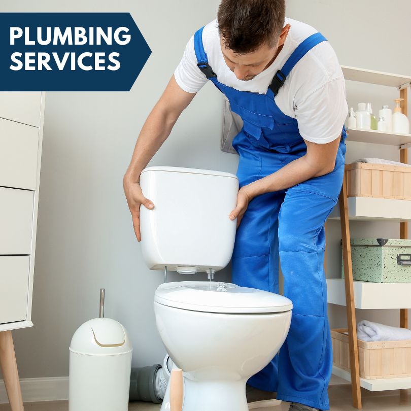 Plumbing Company in Roosevelt, AZ